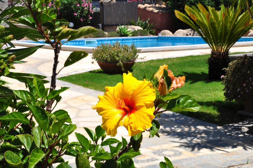וילסימיוס B&B I Graniti Sardi מראה חיצוני תמונה